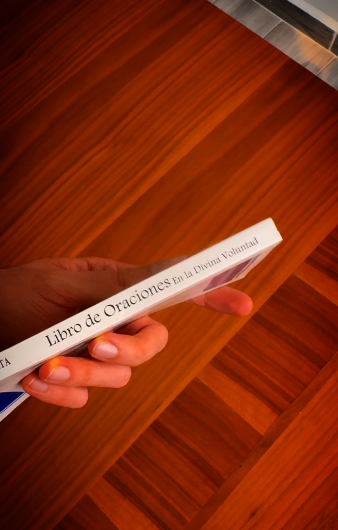 LIBRO ORACIONES EN LA DIVINA VOLUNTAD - Image 5