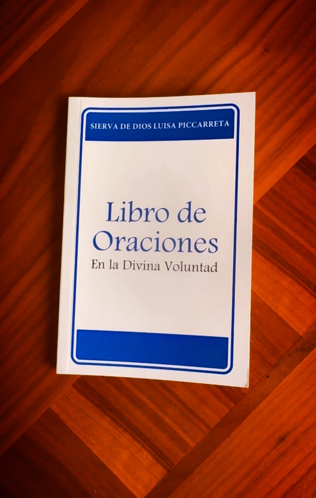 LIBRO ORACIONES EN LA DIVINA VOLUNTAD