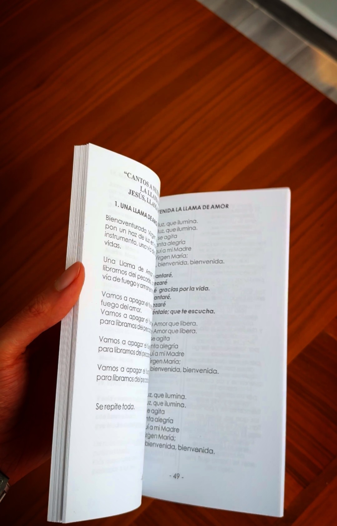 FOLLETO DEVOCIONAL ROSARIO DE LA LLAMA DE AMOR - Image 3