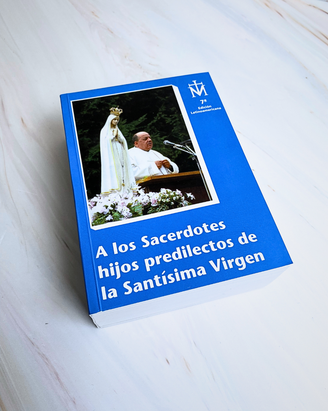 LIBRO AZUL PADRE ESTEFANO GOBBI