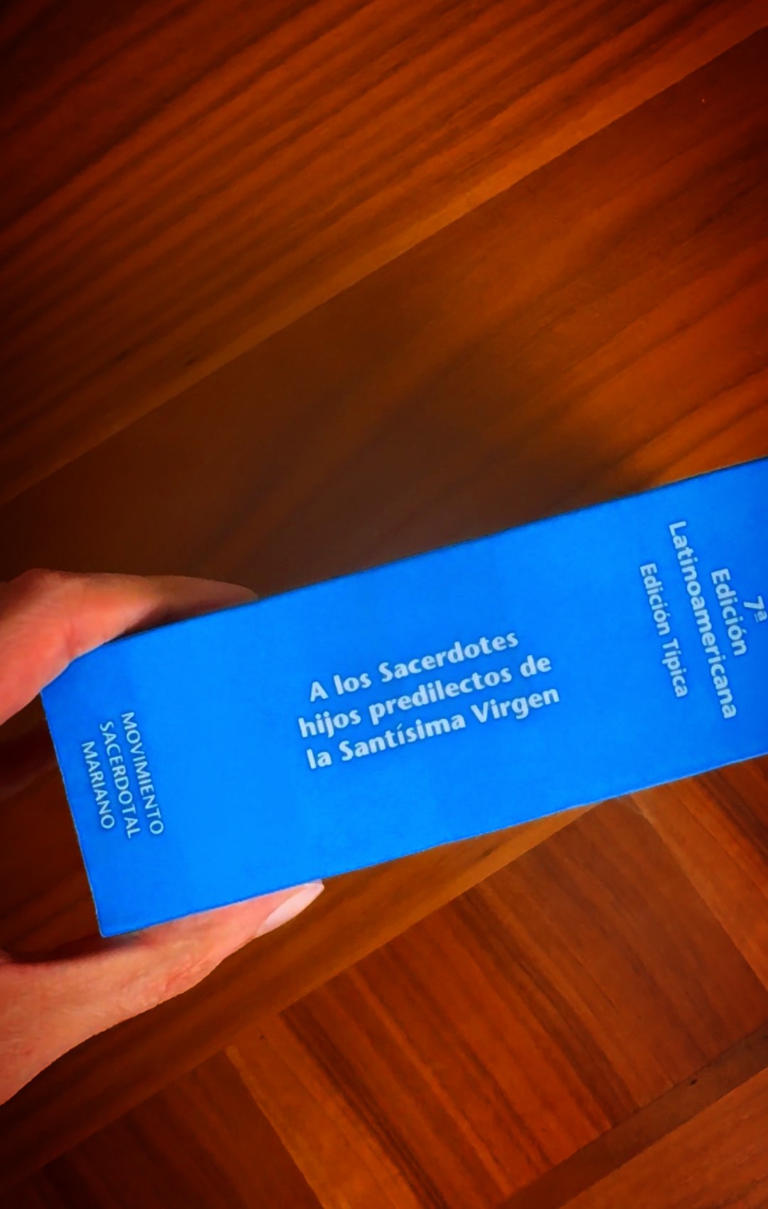 LIBRO AZUL PADRE ESTEFANO GOBBI - Image 4