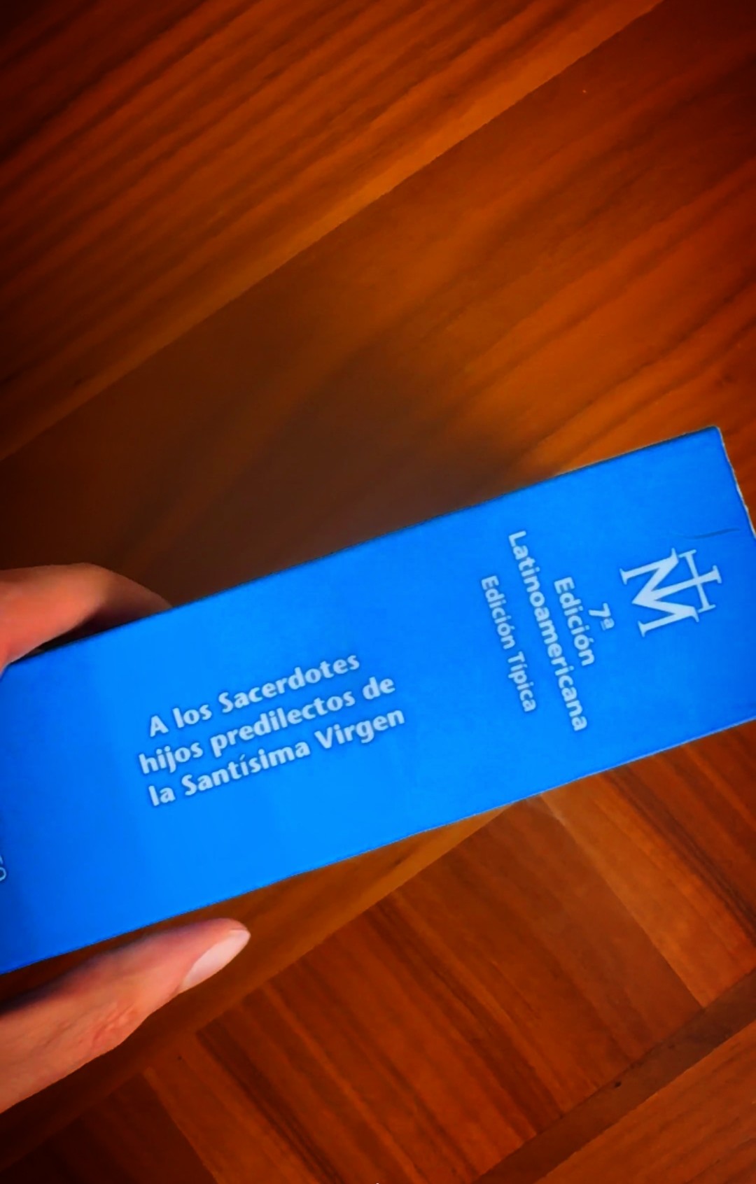 LIBRO AZUL PADRE ESTEFANO GOBBI - Image 5