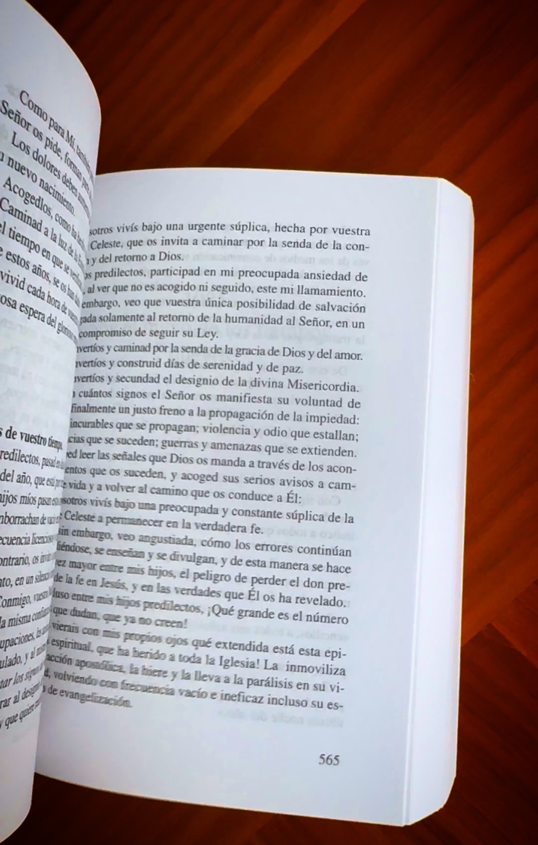 LIBRO ORACIONES EN LA DIVINA VOLUNTAD - Image 4